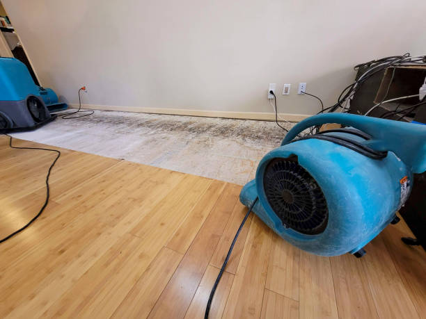 Professional Basement Flood Cleanup technician working in Highland Park, TX